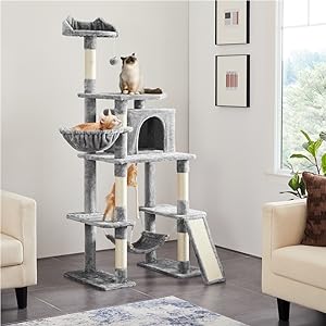 cat furniture for large cats