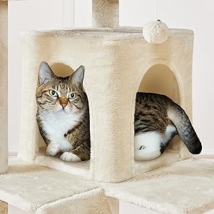 small cat tower