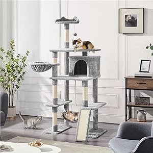 cat condo for large cats