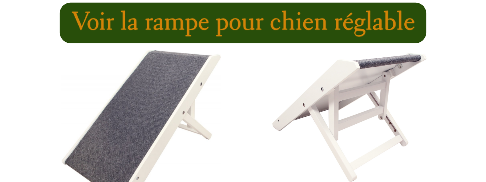 Rampe pour Chien