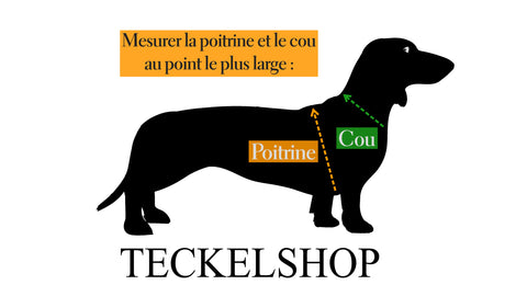 Mesurer Teckel