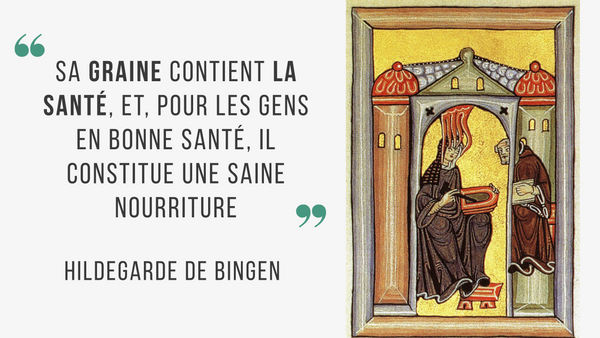 l'abbesse bénédictine recommandait le chanvre pour ses usages médicinaux