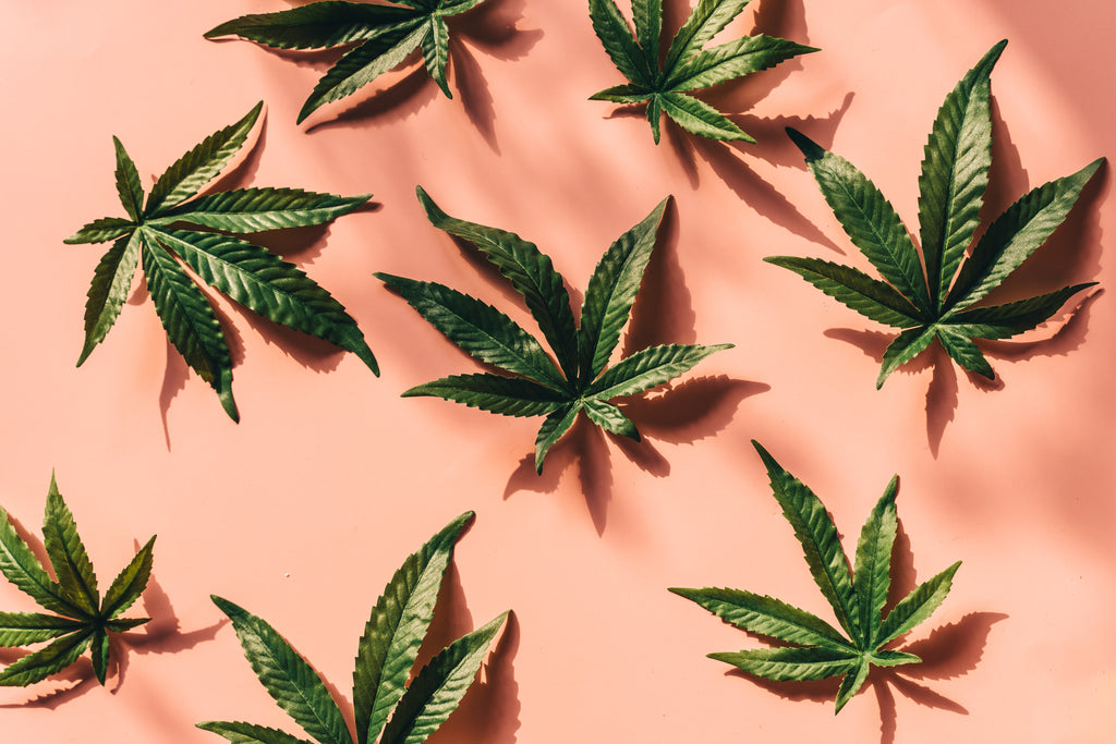 comment lutter contre les douleurs de règles avec le cbd 