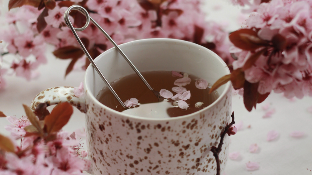Comment faire la différence entre un thé et une infusion ? – le