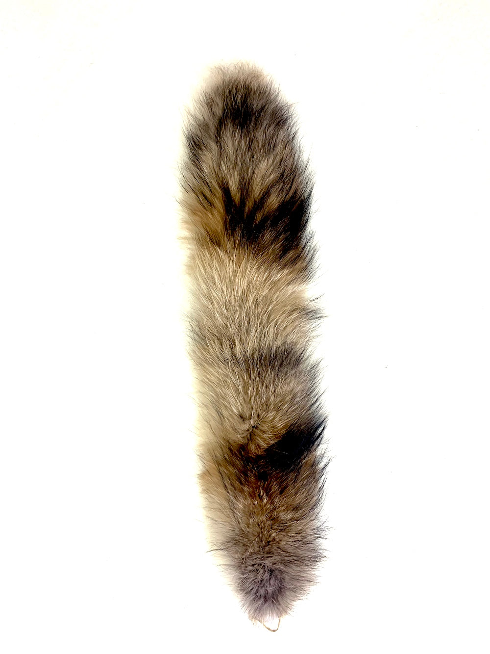 Finnish Raccoon Fur Pelt - SL Fur & Leather