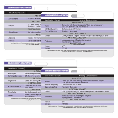 Drug Schedule Chart Reference and Pregnancy Category Chart Reference H –  Nurse Nation