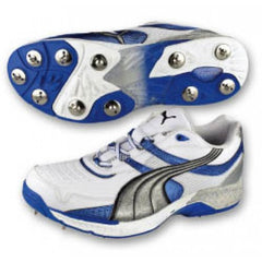 puma iridium cricket shoes