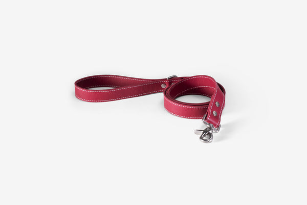 Plain Leather Dog Leash