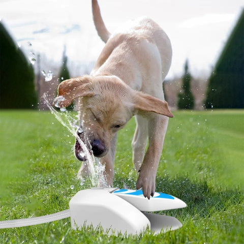 Dog Water Fountain With 2 Modes Spray - Step On Dog Fountain