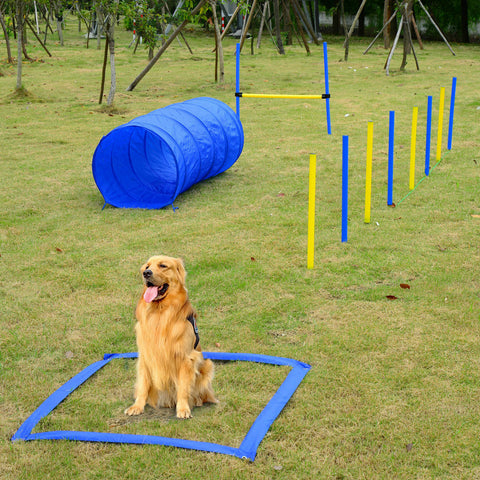 Dog Obstacle Course - Dog Agility Training Tools