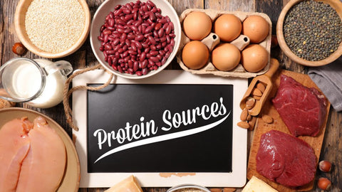 Fonti proteiche. Quante proteine servono?