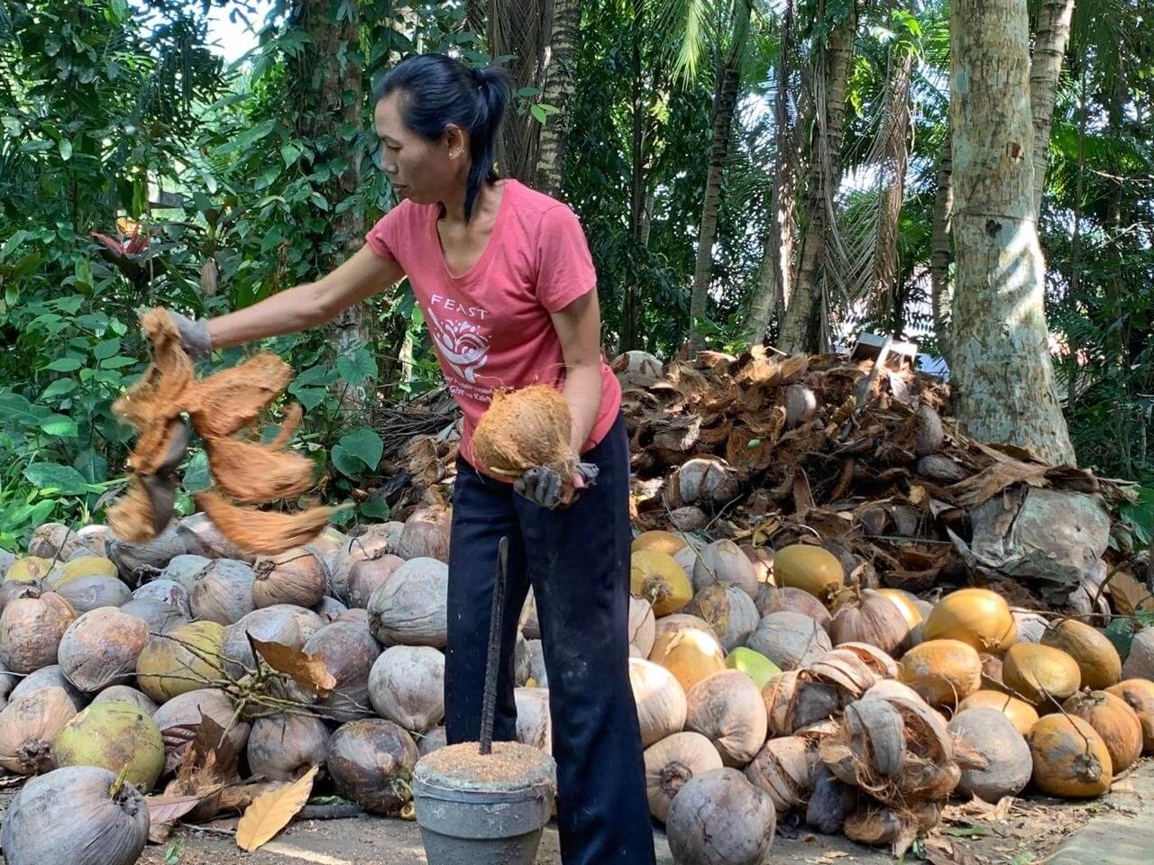 Donna indonesiana al lavoro con le noci di cocco