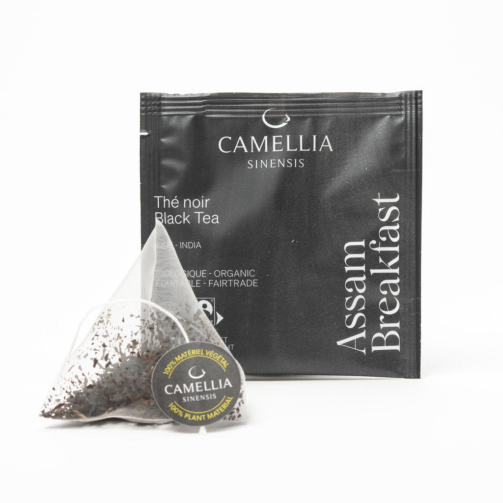 ÉpicerieChasen - Fouet à Matcha en Bambou - Camellia SinensisCamellia  Sinensis