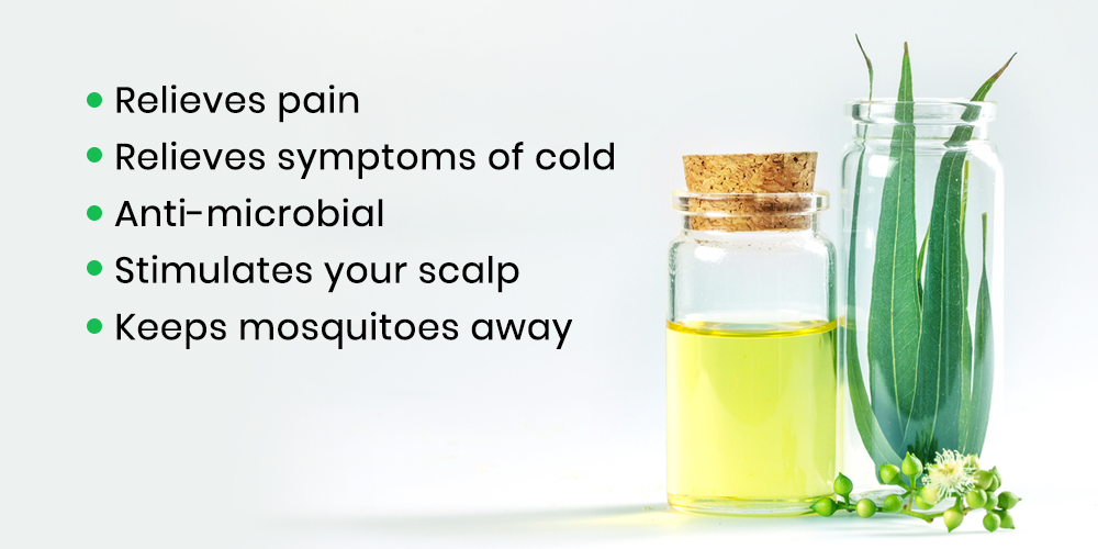 Benefits of eucalyptus oil - eucalyptus oil use