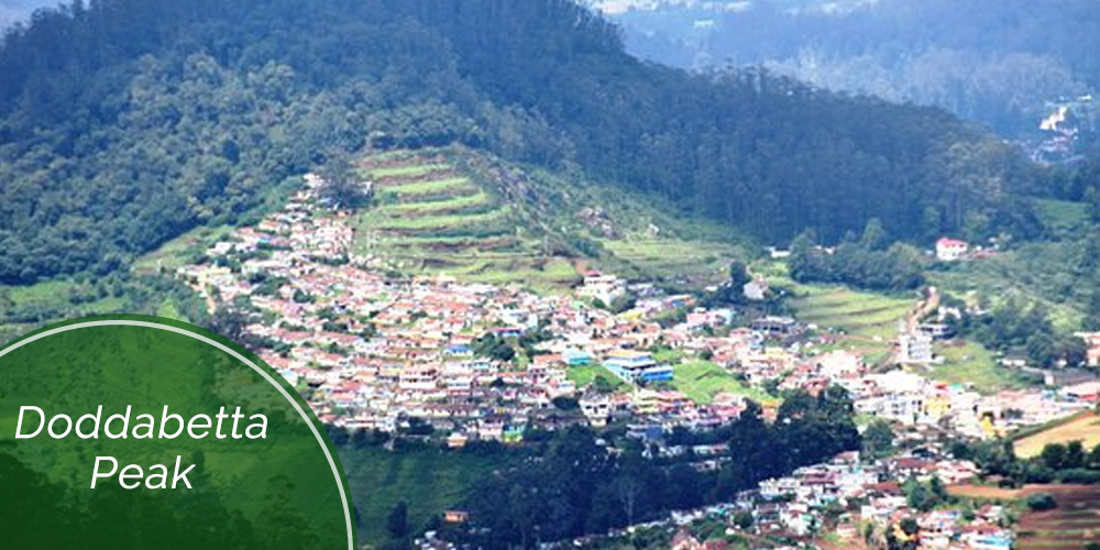 Ooty doddabeta peak - Places to visit in Ooty