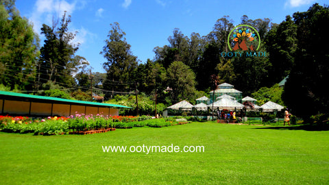 ooty places visit, the garden in ooty