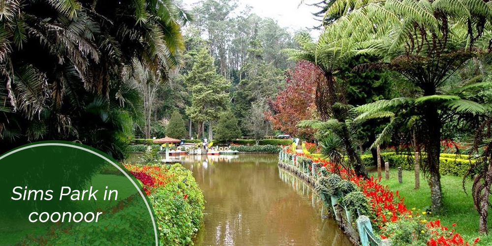 ooty sims park in coonoor - Top ooty places to visit