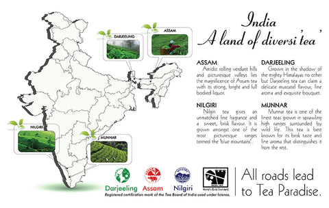 India map pointing Nilgiris 