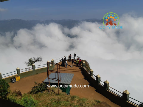 Dolphin’s Nose, best way to visit in ooty