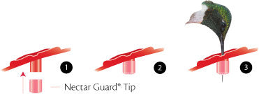 Nectar Guard Tips