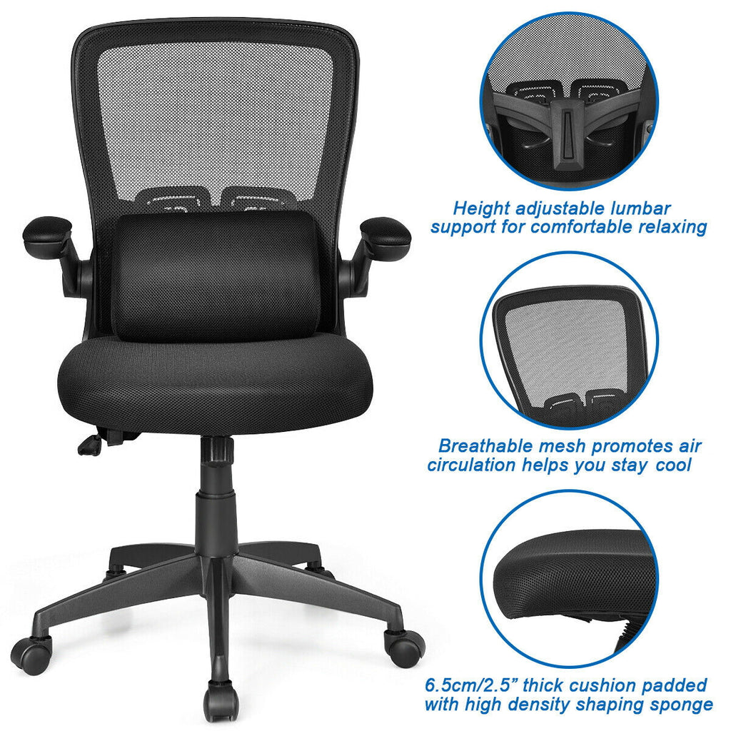 Ergoals Ergonomic Desk Chair Lumbar Support Ergonomic Office Chair Swhiish