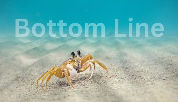 crab on bottom  of ocean with ghost wording that says bottom line