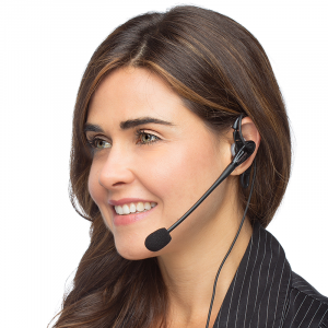 D713 Business Headset for One Ear