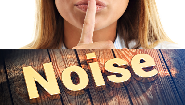 graphic of woman with finger suggesting silence along with text that says noise