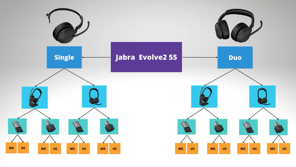 graphic image of a Jabra Evolve2 55 mono on left, and stereo model on right and beneath both are the different variant options available