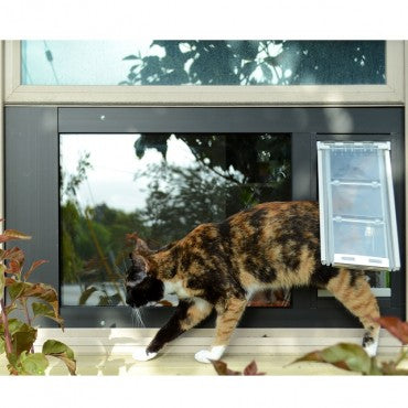 Update pet microchip so your cat can use their microchip door