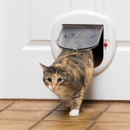 cat using electronic cat door
