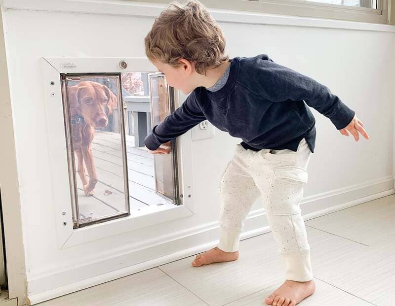 child holding open pet door for dog