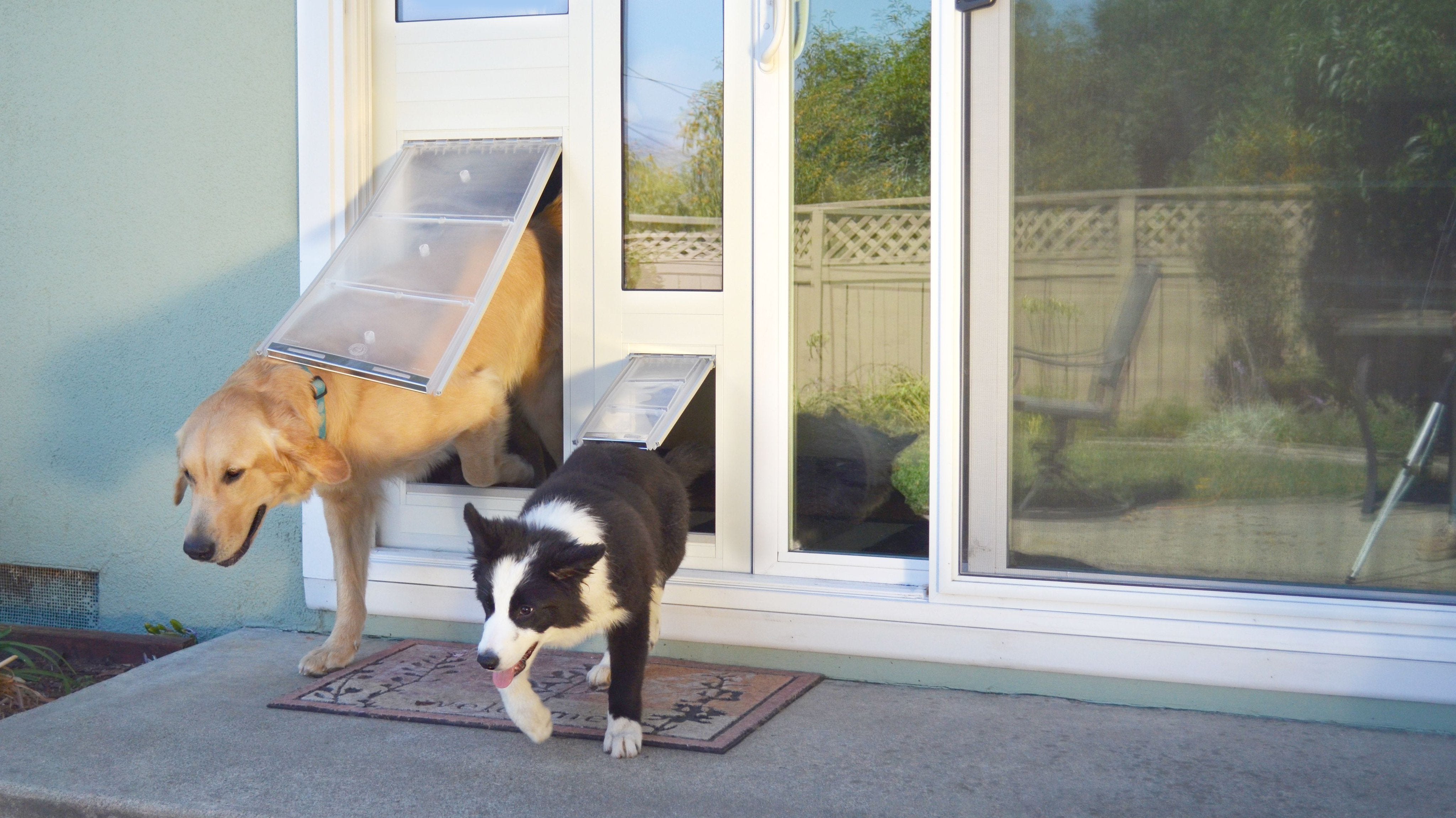 two dogs using the endura flap pet door insert for sliding glass doors