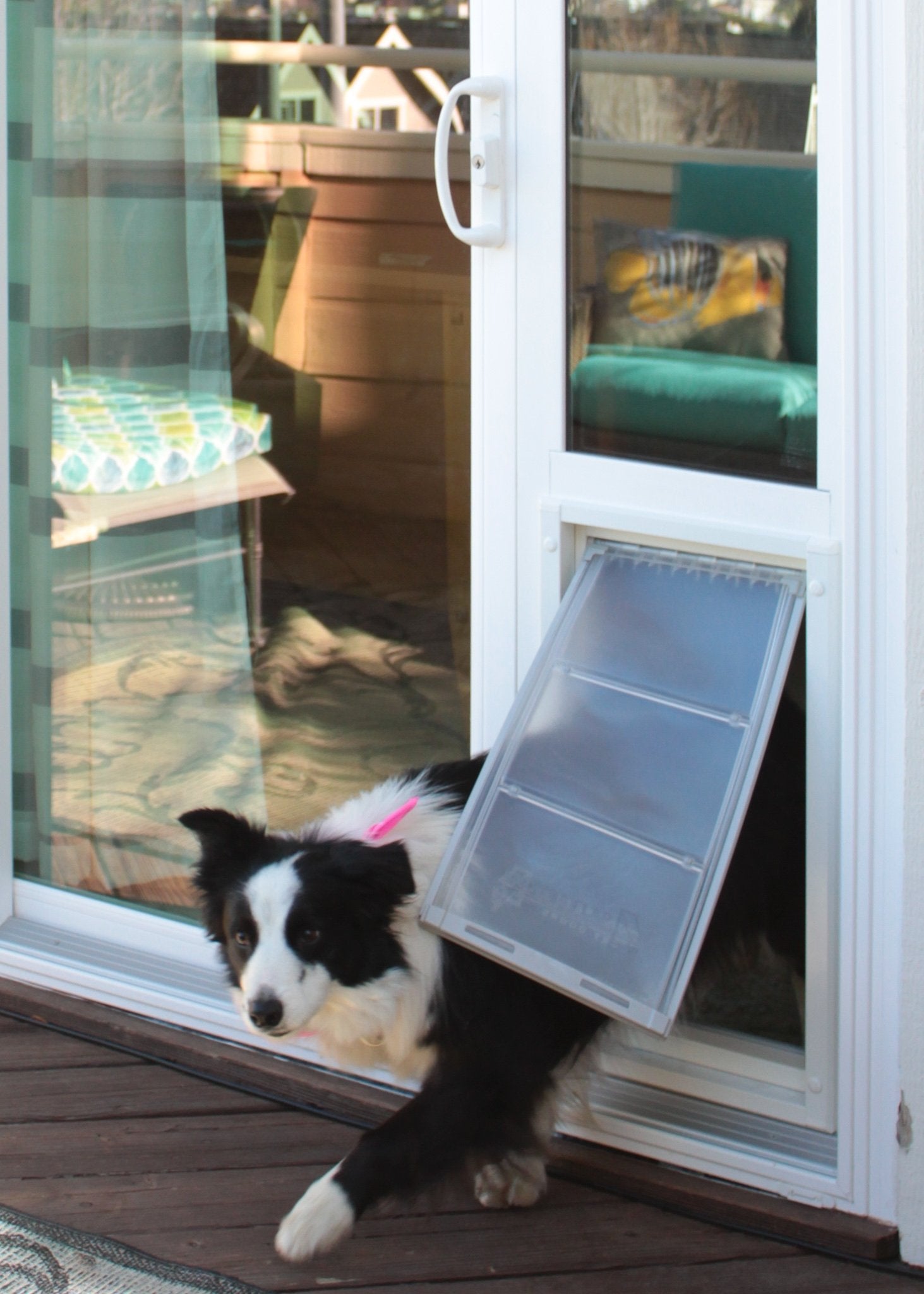 how much does it cost to install a dog door in glass