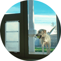 exterior door with window and dog door