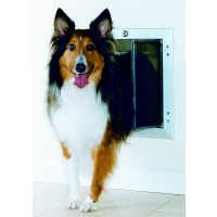 Collie walking through pet door