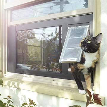 A cat using the Thermo Sash 3e Cat Door for Sash Windows to go their catio