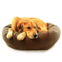 golden retriever sleeping in donut dog bed