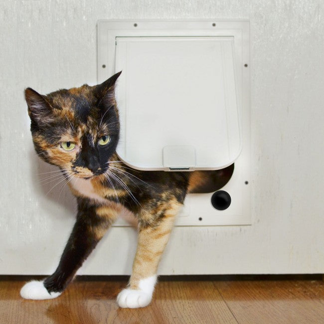 cat using the magnador cat door for walls