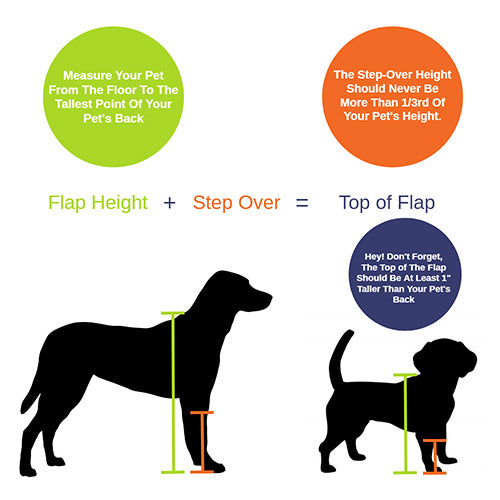 Measure Your Pet | Measure Dog and Cat 