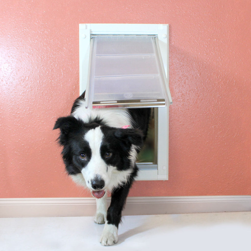 If you don't know how to fit a smaller door into a larger frame, you can get a custom made dog door might be the best type of dog door for you