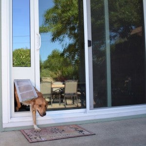 Sliding Glass Doggy Door | Dog Door Safety with Young Children