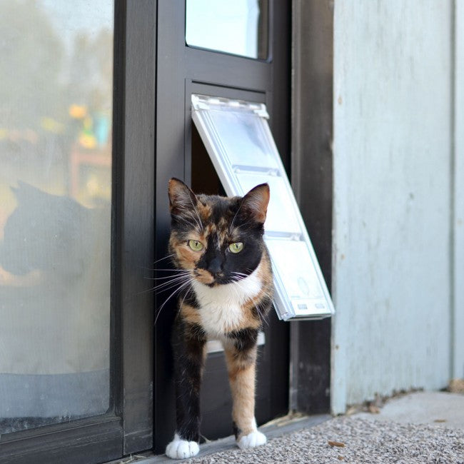 cat using endura thermo panel