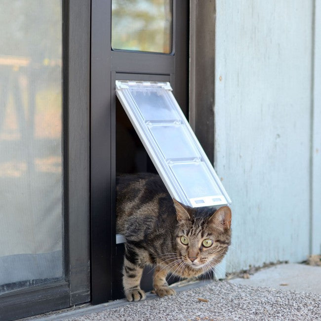 Cat going through the Endura Flap Thermo Panel 3 for sliding glass doors