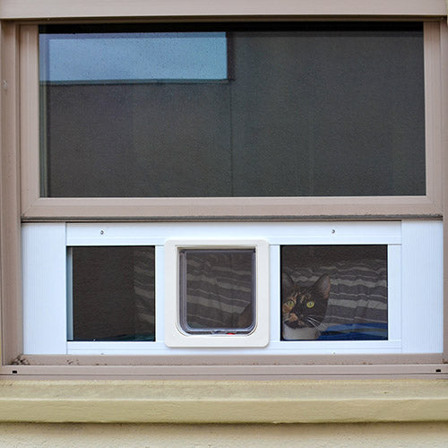55 HQ Images Cat Door Window Insert Diy / Best Cat Door Window Inserts Safe Cat Flap Window Insert