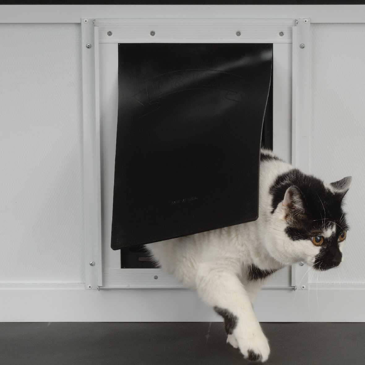 petsmart cat flap