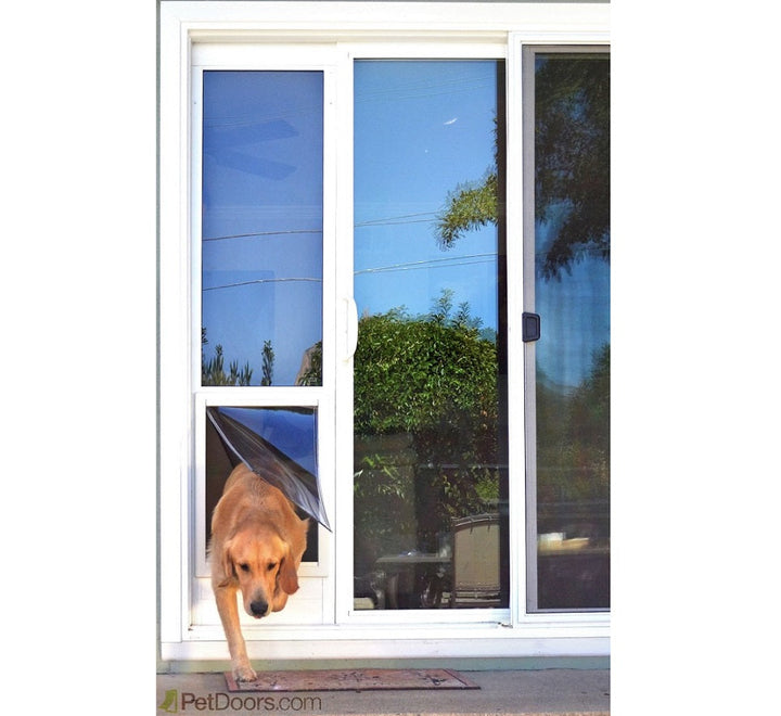 can you put a doggy door in a sliding glass door