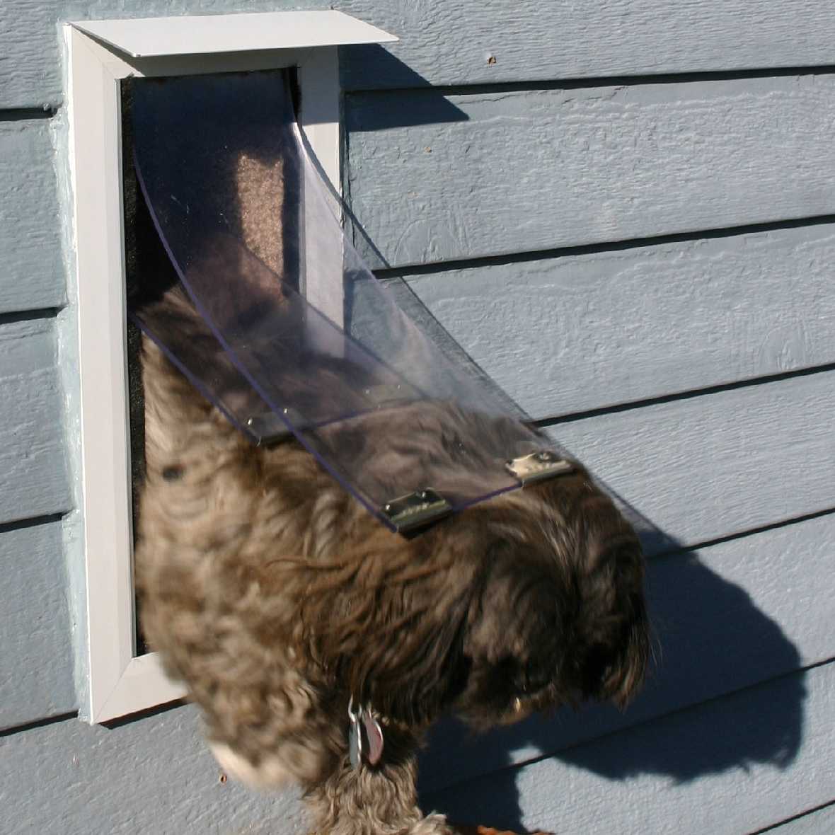 Hale Pet Door Awning | Rain Cap | Leaky Dog Door Solutions