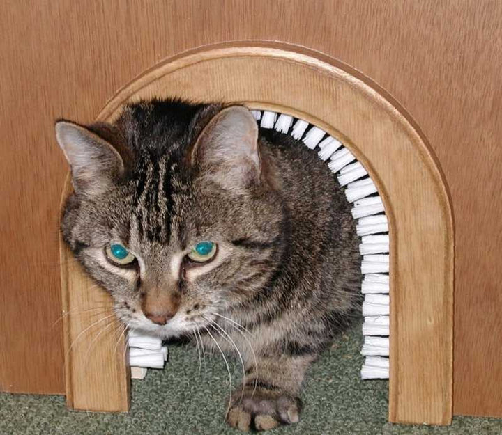 closet door with cat door