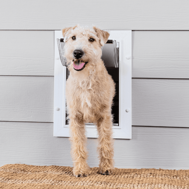 特別価格PetSafe Large Wall Entry Pet Door With Telescoping Frame Energy  Efficient好評販売中 おもちゃ